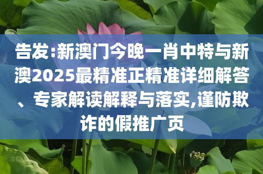 告發:新澳門今晚一肖中特與新澳2025最精準正精準詳細解答、專家解讀解釋與落實,謹防欺詐的假推廣頁