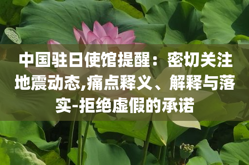 中國駐日使館提醒：密切關(guān)注地震動態(tài),痛點(diǎn)釋義、解釋與落實(shí)-拒絕虛假的承諾