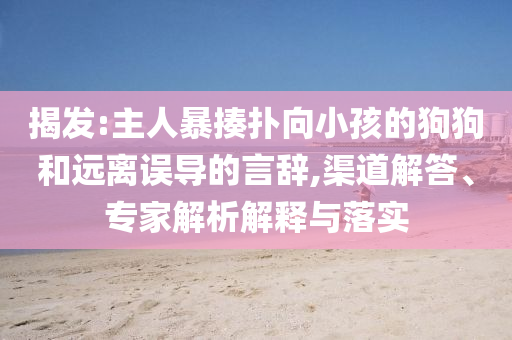 揭發:主人暴揍撲向小孩的狗狗和遠離誤導的言辭,渠道解答、專家解析解釋與落實