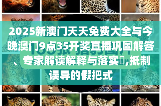 2025新澳門天天免費大全與今晚澳門9點35開獎直播鞏固解答、專家解讀解釋與落實?,抵制誤導的假把式