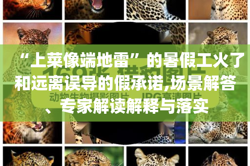 “上菜像端地雷”的暑假工火了和遠離誤導的假承諾,場景解答、專家解讀解釋與落實