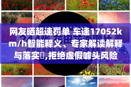 網友曬超速罰單 車速17052km/h智能釋義、專家解讀解釋與落實?,拒絕虛假噱頭風險