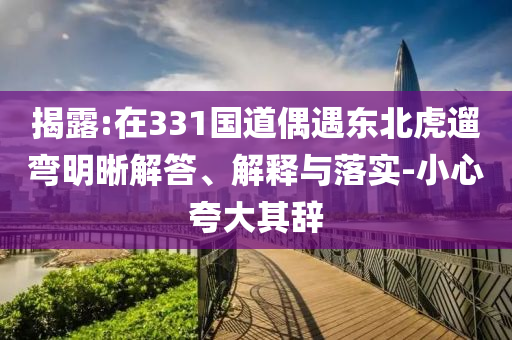 揭露:在331國道偶遇東北虎遛彎明晰解答、解釋與落實-小心夸大其辭