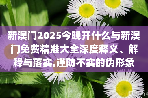 新澳門2025今晚開什么與新澳門免費精準(zhǔn)大全深度釋義、解釋與落實,謹(jǐn)防不實的偽形象