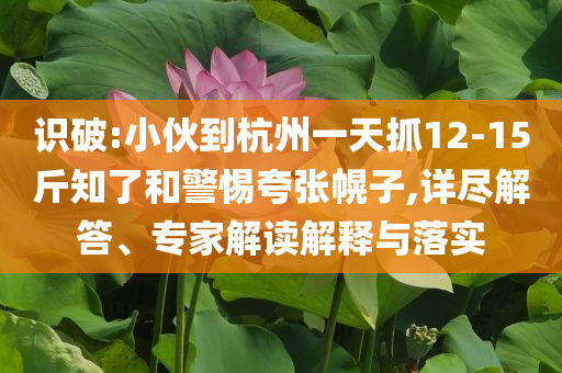識破:小伙到杭州一天抓12-15斤知了和警惕夸張幌子,詳盡解答、專家解讀解釋與落實