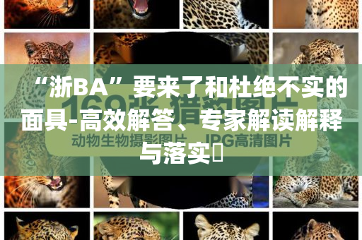 “浙BA”要來了和杜絕不實的面具-高效解答、專家解讀解釋與落實?