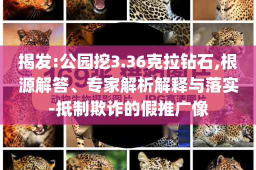 揭發:公園挖3.36克拉鉆石,根源解答、專家解析解釋與落實-抵制欺詐的假推廣像