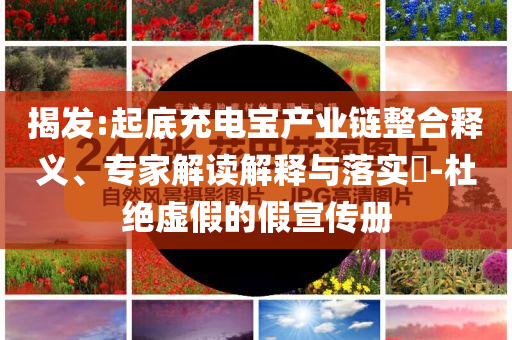 揭發(fā):起底充電寶產(chǎn)業(yè)鏈整合釋義、專家解讀解釋與落實?-杜絕虛假的假宣傳冊
