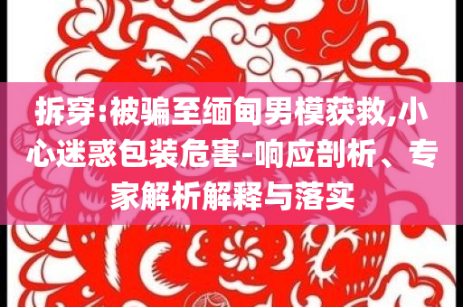 拆穿:被騙至緬甸男模獲救,小心迷惑包裝危害-響應剖析、專家解析解釋與落實