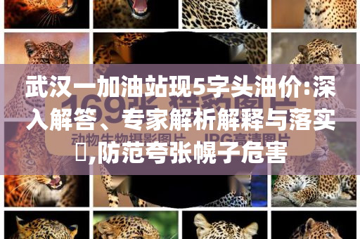 武漢一加油站現(xiàn)5字頭油價:深入解答、專家解析解釋與落實?,防范夸張幌子危害