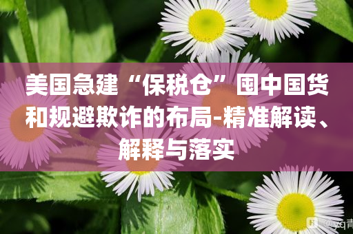 美國急建“保稅倉”囤中國貨和規(guī)避欺詐的布局-精準(zhǔn)解讀、解釋與落實