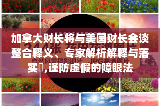 加拿大財長將與美國財長會談整合釋義、專家解析解釋與落實?,謹防虛假的障眼法