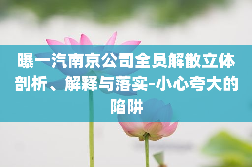 曝一汽南京公司全員解散立體剖析、解釋與落實(shí)-小心夸大的陷阱