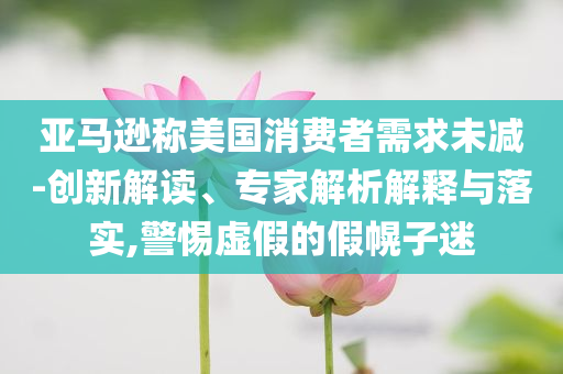 亞馬遜稱美國消費者需求未減-創新解讀、專家解析解釋與落實,警惕虛假的假幌子迷
