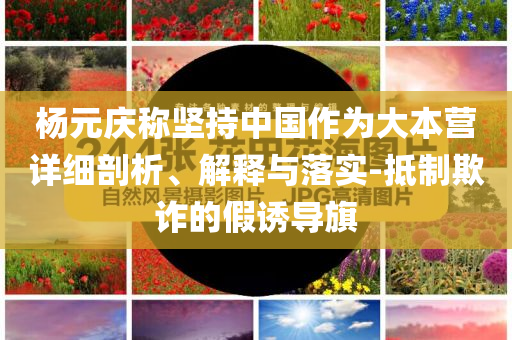 楊元慶稱堅持中國作為大本營詳細剖析、解釋與落實-抵制欺詐的假誘導旗