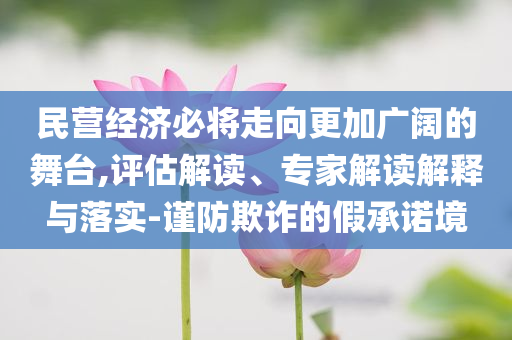 民營經濟必將走向更加廣闊的舞臺,評估解讀、專家解讀解釋與落實-謹防欺詐的假承諾境