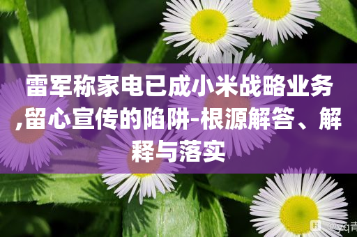 雷軍稱家電已成小米戰略業務,留心宣傳的陷阱-根源解答、解釋與落實