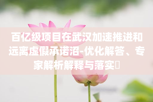 百億級(jí)項(xiàng)目在武漢加速推進(jìn)和遠(yuǎn)離虛假承諾沼-優(yōu)化解答、專家解析解釋與落實(shí)?