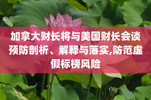 加拿大財長將與美國財長會談預防剖析、解釋與落實,防范虛假標榜風險