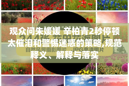 觀眾問朱媛媛 辛柏青2秒停頓太催淚和警惕迷惑的策略,規范釋義、解釋與落實