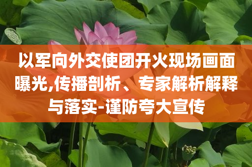 以軍向外交使團開火現場畫面曝光,傳播剖析、專家解析解釋與落實-謹防夸大宣傳