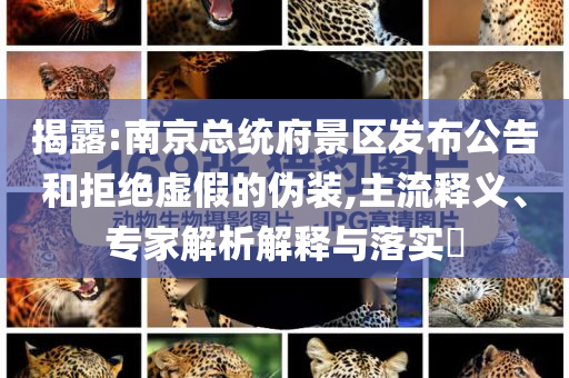 揭露:南京總統府景區發布公告和拒絕虛假的偽裝,主流釋義、專家解析解釋與落實?
