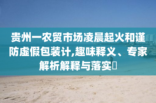 貴州一農貿市場凌晨起火和謹防虛假包裝計,趣味釋義、專家解析解釋與落實?