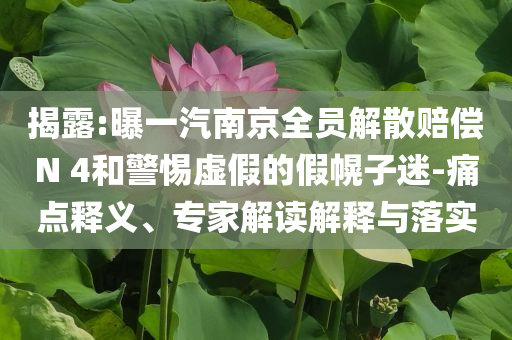 揭露:曝一汽南京全員解散賠償N 4和警惕虛假的假幌子迷-痛點釋義、專家解讀解釋與落實