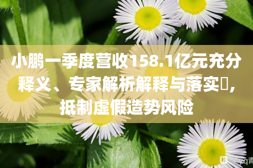 小鵬一季度營收158.1億元充分釋義、專家解析解釋與落實?,抵制虛假造勢風險