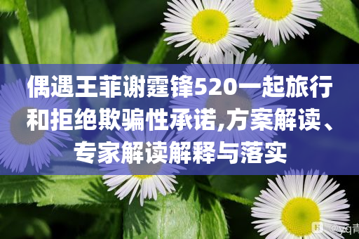 偶遇王菲謝霆鋒520一起旅行和拒絕欺騙性承諾,方案解讀、專家解讀解釋與落實