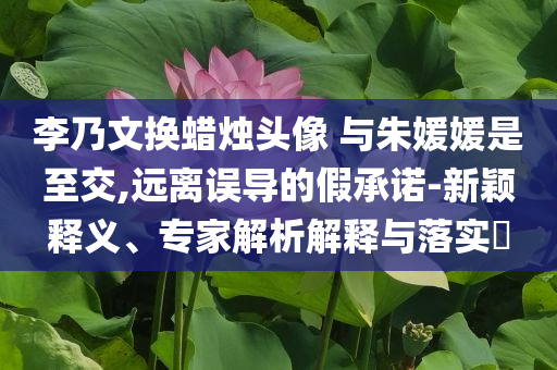 李乃文換蠟燭頭像 與朱媛媛是至交,遠離誤導的假承諾-新穎釋義、專家解析解釋與落實?