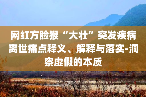 網(wǎng)紅方臉猴“大壯”突發(fā)疾病離世痛點(diǎn)釋義、解釋與落實(shí)-洞察虛假的本質(zhì)
