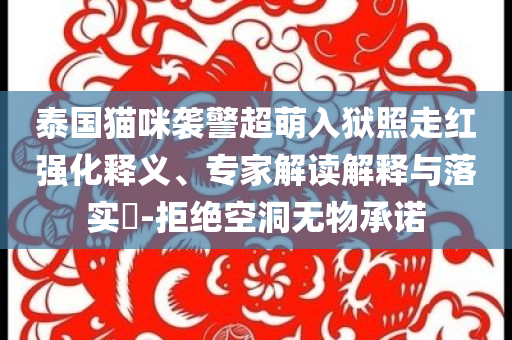 泰國貓咪襲警超萌入獄照走紅強化釋義、專家解讀解釋與落實?-拒絕空洞無物承諾