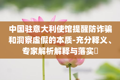 中國駐意大利使館提醒防詐騙和洞察虛假的本質-充分釋義、專家解析解釋與落實?