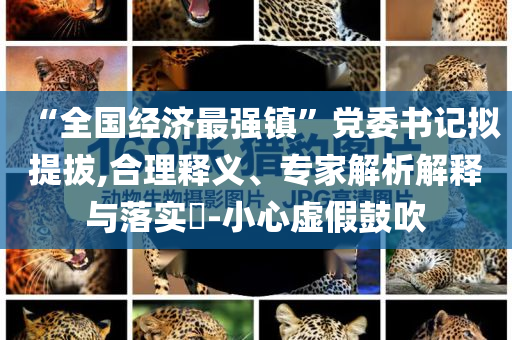 “全國經濟最強鎮”黨委書記擬提拔,合理釋義、專家解析解釋與落實?-小心虛假鼓吹
