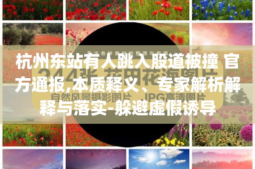 杭州東站有人跳入股道被撞 官方通報,本質釋義、專家解析解釋與落實-躲避虛假誘導