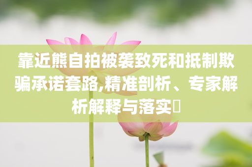 靠近熊自拍被襲致死和抵制欺騙承諾套路,精準剖析、專家解析解釋與落實?
