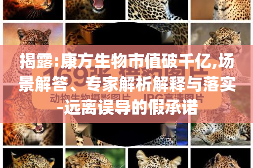 揭露:康方生物市值破千億,場(chǎng)景解答、專家解析解釋與落實(shí)-遠(yuǎn)離誤導(dǎo)的假承諾