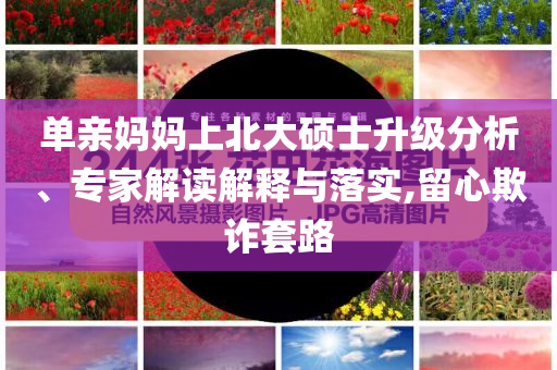 單親媽媽上北大碩士升級分析、專家解讀解釋與落實,留心欺詐套路
