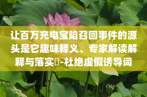 讓百萬充電寶陷召回事件的源頭是它趣味釋義、專家解讀解釋與落實?-杜絕虛假誘導詞
