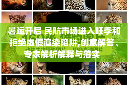 暑運開啟 民航市場進入旺季和拒絕虛假渲染陷阱,創意解答、專家解析解釋與落實?