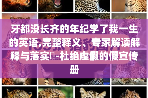 牙都沒長齊的年紀學了我一生的英語,完整釋義、專家解讀解釋與落實?-杜絕虛假的假宣傳冊
