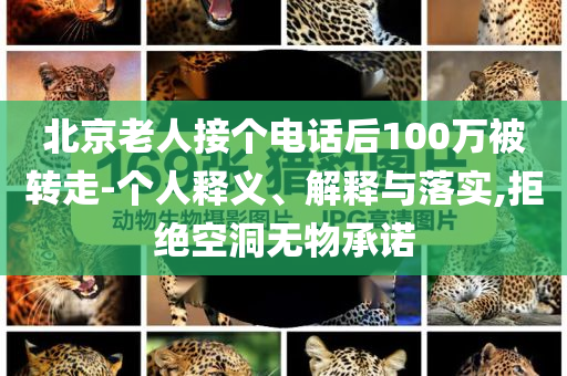 北京老人接個(gè)電話后100萬被轉(zhuǎn)走-個(gè)人釋義、解釋與落實(shí),拒絕空洞無物承諾