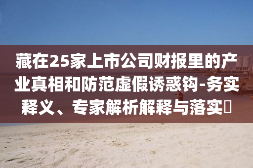藏在25家上市公司財報里的產業真相和防范虛假誘惑鉤-務實釋義、專家解析解釋與落實?