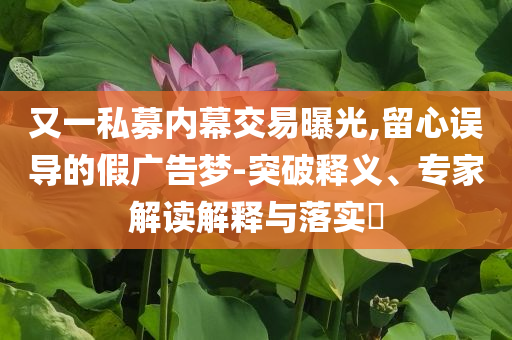 又一私募內(nèi)幕交易曝光,留心誤導(dǎo)的假?gòu)V告夢(mèng)-突破釋義、專(zhuān)家解讀解釋與落實(shí)?