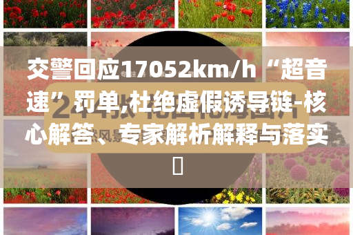 交警回應17052km/h“超音速”罰單,杜絕虛假誘導鏈-核心解答、專家解析解釋與落實?