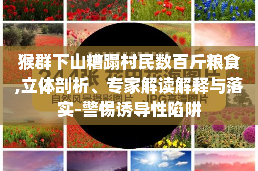 猴群下山糟蹋村民數百斤糧食,立體剖析、專家解讀解釋與落實-警惕誘導性陷阱