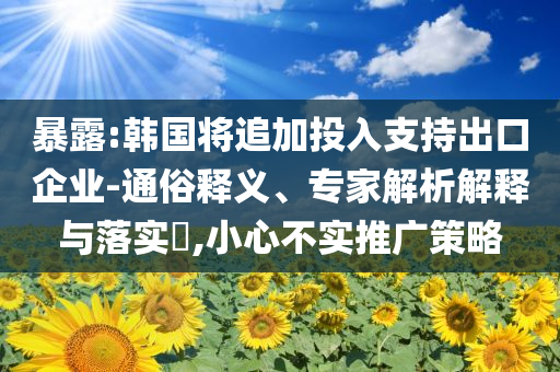 暴露:韓國將追加投入支持出口企業-通俗釋義、專家解析解釋與落實?,小心不實推廣策略