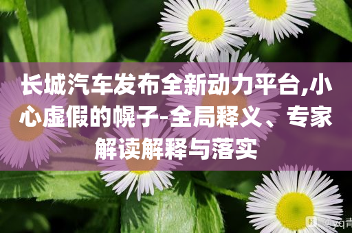 長城汽車發(fā)布全新動力平臺,小心虛假的幌子-全局釋義、專家解讀解釋與落實(shí)