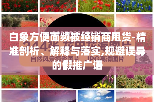 白象方便面頻被經銷商甩貨-精準剖析、解釋與落實,規避誤導的假推廣語